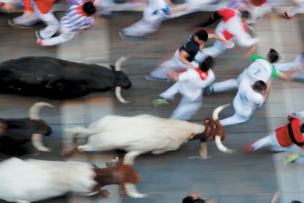 People running alongside bulls in Spain.