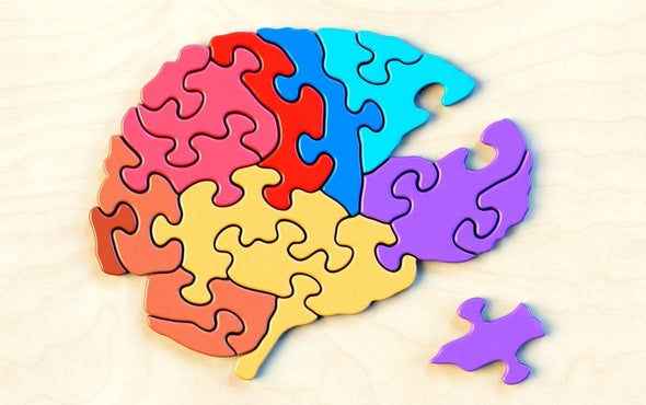 cracking the brain s enigma code scientific american