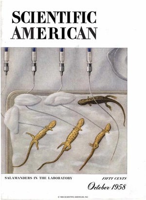 Scientific American Magazine Vol 199 Issue 4