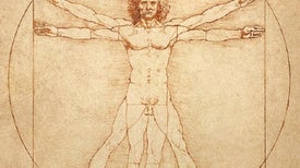 Leonardo da Vinci, Neuroscientist