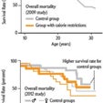 calorie restriction versus lifespan chart
