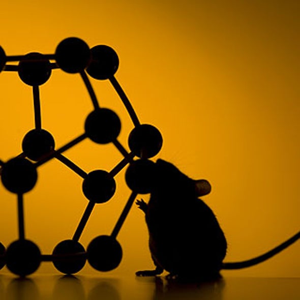 Do Nanoparticles in Food Pose a Health Risk?