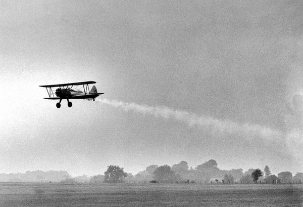 Pesticide DDT being dispersed by a plane.