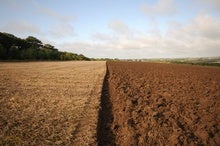 Soils Store Huge Amounts of Carbon, Warming May Unleash It