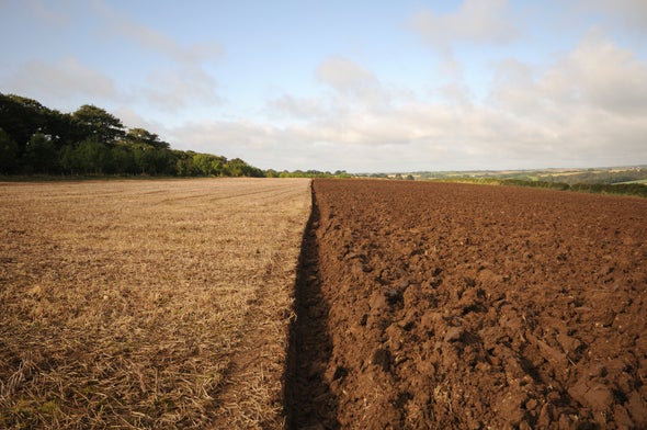 Soils Store Huge Amounts of Carbon, Warming May Unleash It