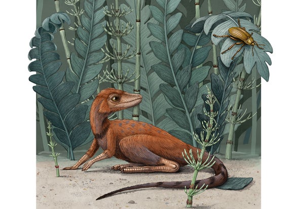 'Tiny Bug Slayer' Dinosaur Relative Would Fit in the Palm of a Hand