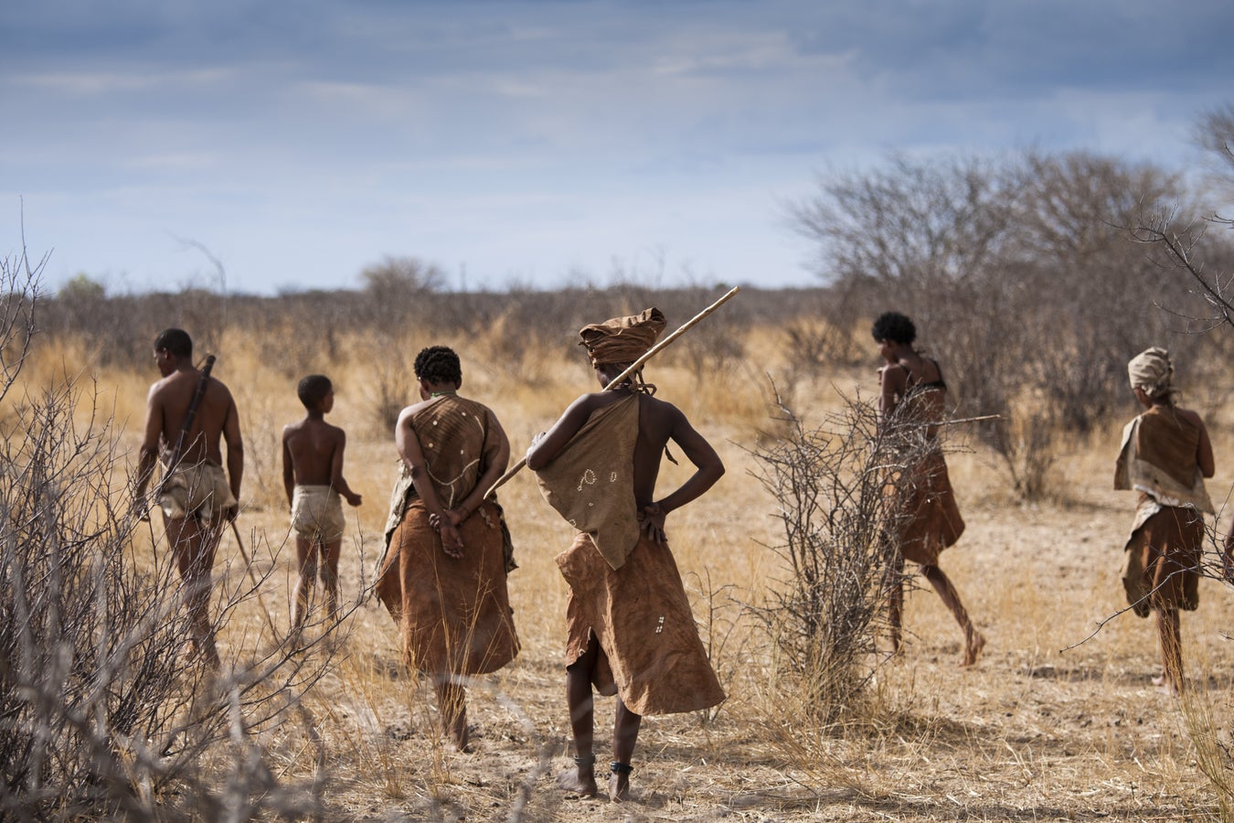 Rare Genetic Sequences Illuminate Early Humans' History in Africa ...