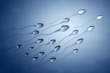 Male Birth Control Is in Development, but Barriers Still Stand in the Way