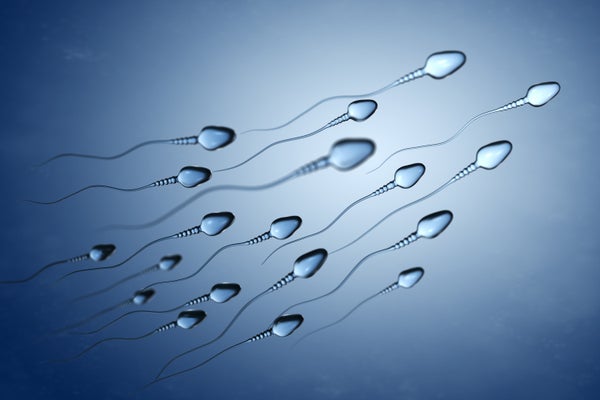 Illustration of sperm cells on blue background.