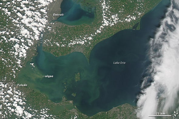 Deadly Algae Are Everywhere, Thanks to Agriculture