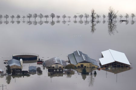 Homes and a line of trees surronded by flood waters.