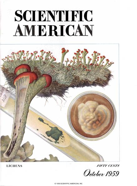 Scientific American Magazine Vol 201 Issue 4