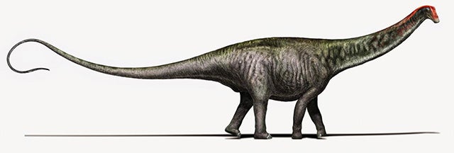 The Brontosaurus Is Back - Scientific American