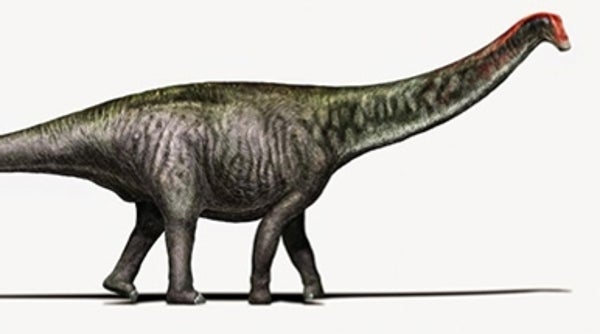 brontosaurus with spikes on back