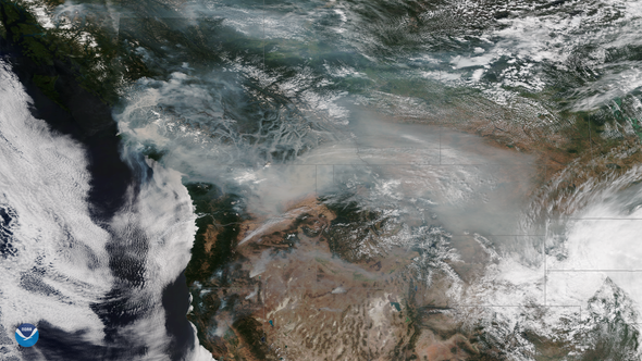 Major Campaign Aims to Unravel Exactly What Is in Wildfire Smoke