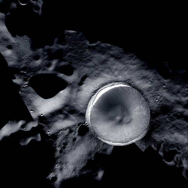 Mosaic image of the Shackleton Crater