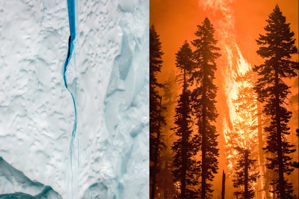 If Sea Ice Melts in the Arctic, Do Trees Burn in California?