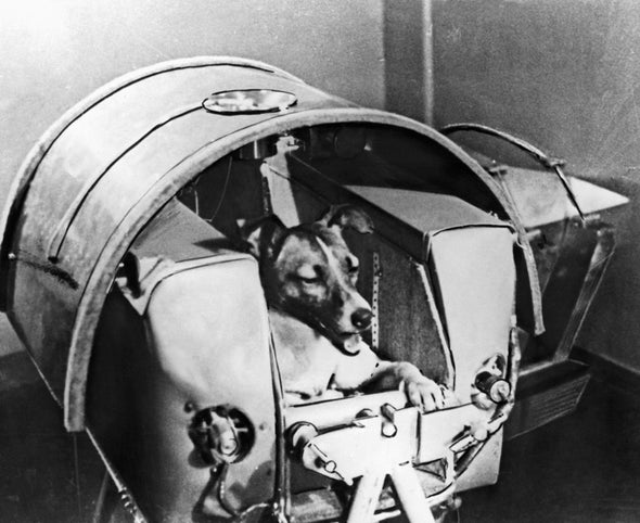 Remembering Laika the Dog's Trip to Space, 57 Years Later - Scientific  American