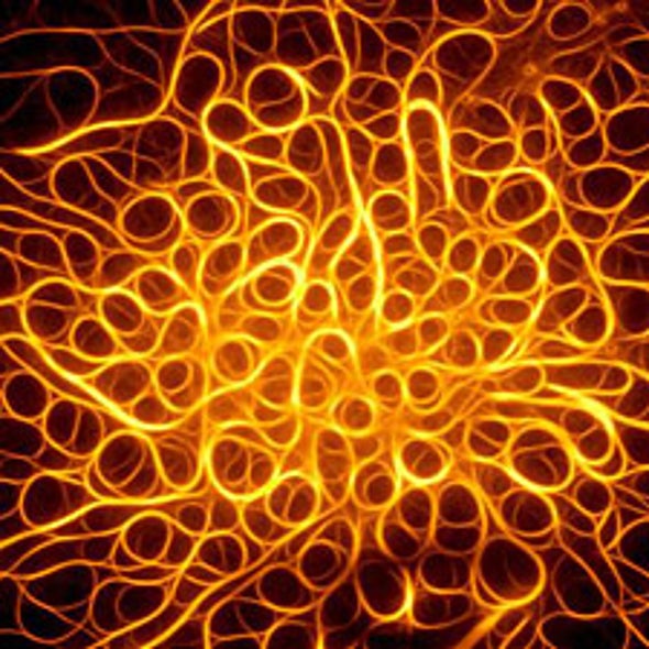 Petite Pictures: The 20 Microscopic Photo Competition Prizewinners