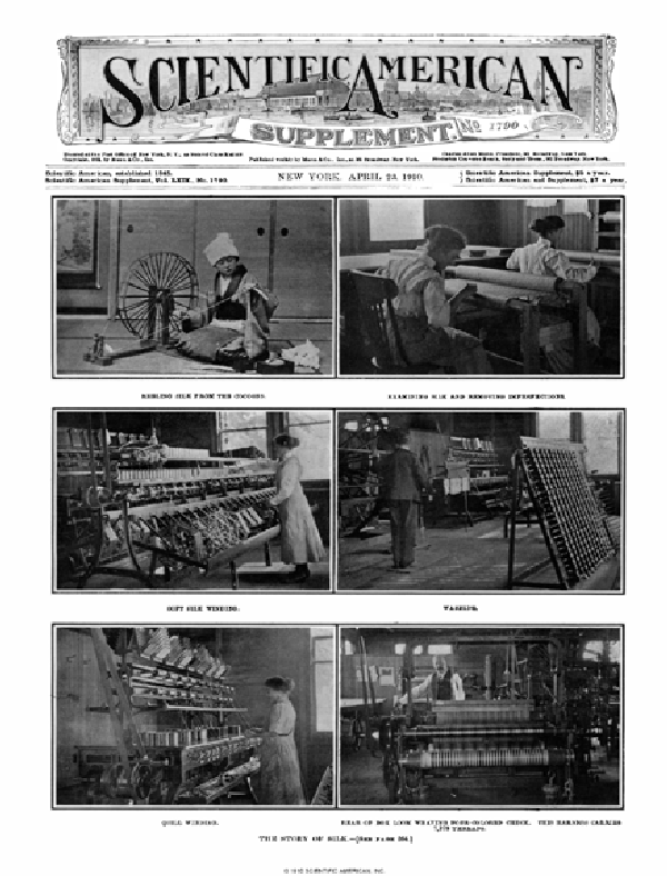 SA Supplements Vol 69 Issue 1790supp
