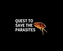 Inside the Scientific Quest to Save (Most) of the World's Parasites