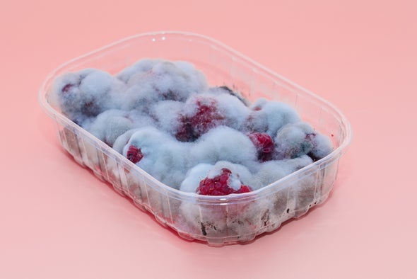 Artificial Intelligence Sniffs Out Unsafe Foods