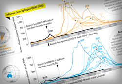 Flu Season Never Came to the Southern Hemisphere