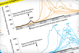 Flu Season Never Came to the Southern Hemisphere
