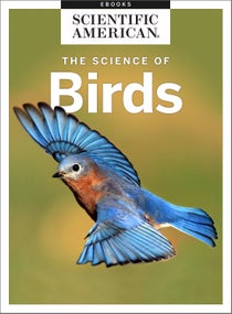 鸟科学