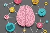 How the Brain Builds Memory Chains - Scientific American