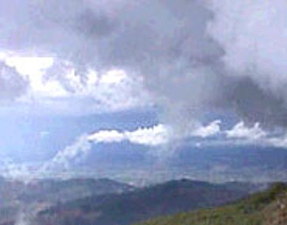 Turbulence within Clouds Triggers Rain