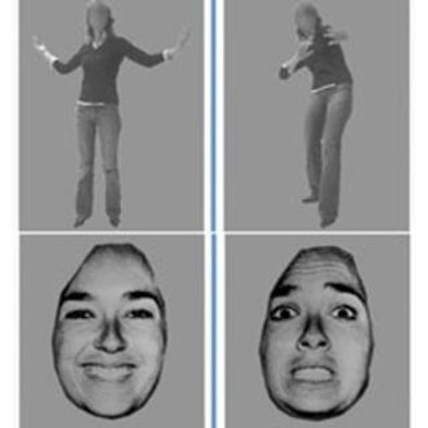Sight Unseen: People Blinded by Brain Damage Can Respond to Emotive Expressions