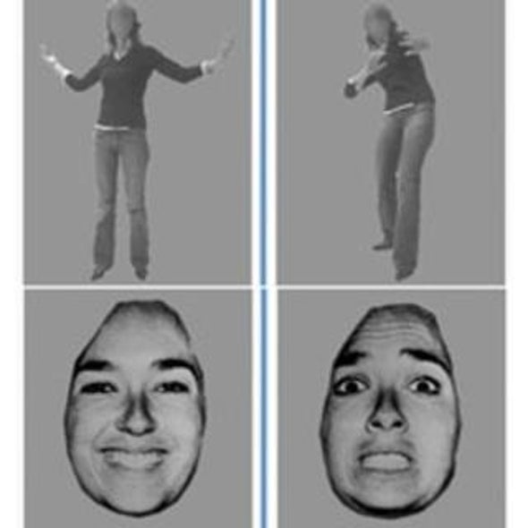 Sight Unseen: People Blinded by Brain Damage Can Respond to Emotive Expressions