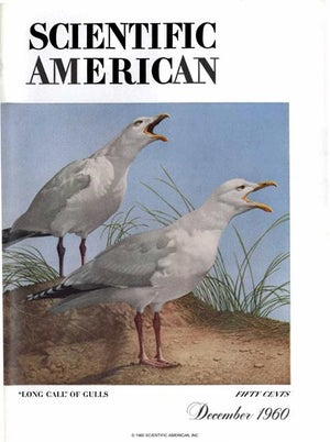 Scientific American Magazine Vol 203 Issue 6