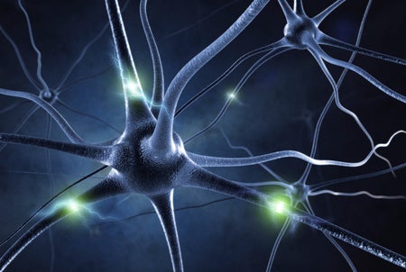 neurons firing