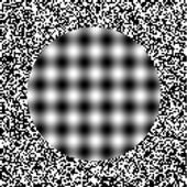 The Ouchi Illusion