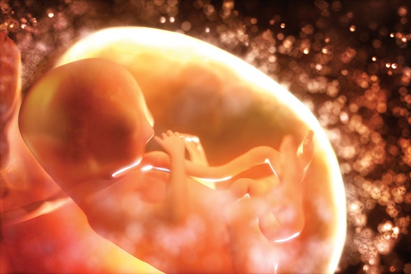 Fetal Immune System Active by Second Trimester