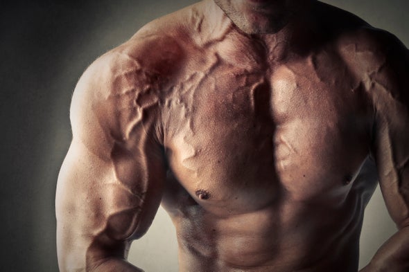 Why Veins Out When Exercising, and Is That Good or Bad? - Scientific American