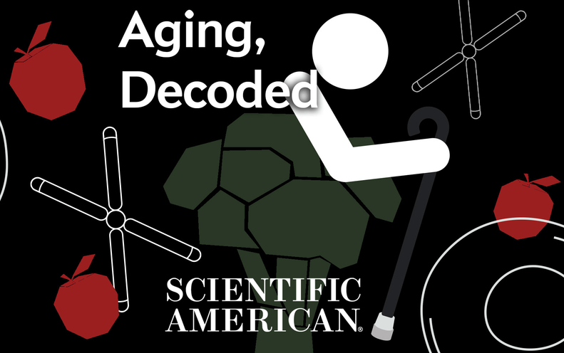 can-we-stop-aging-scientific-american