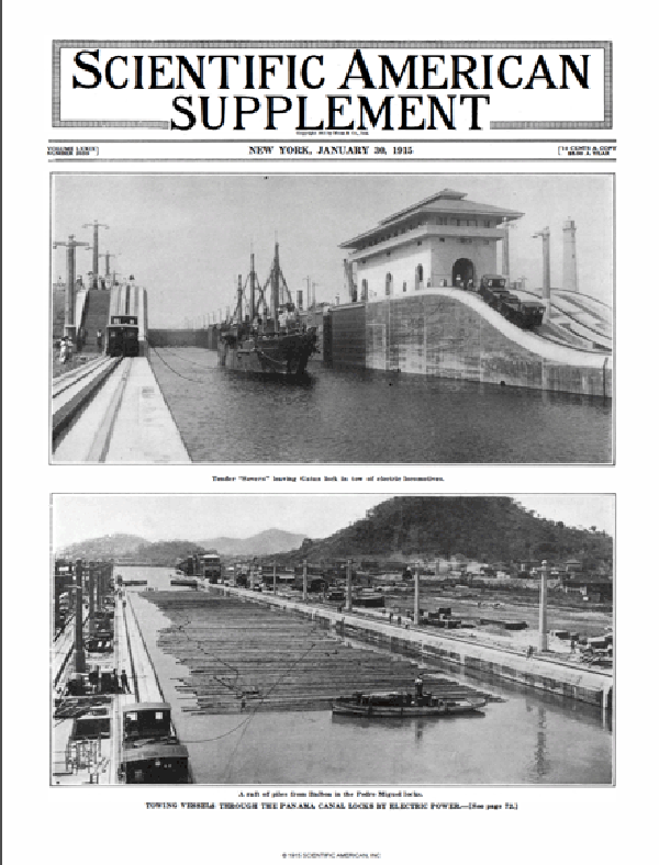 SA Supplements Vol 79 Issue 2039supp