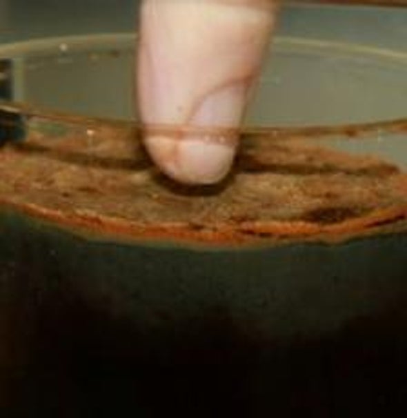 Wired Waters: Bacterial Electric Circuits Facilitate Chemistry in Marine Sediments