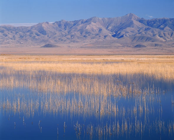 North America's Oldest Mummy Returned to U.S. Tribe after Genome Sequencing