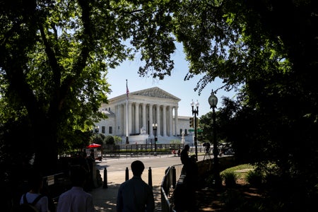 The U.S. Supreme Court building framed by a canopy of leaves