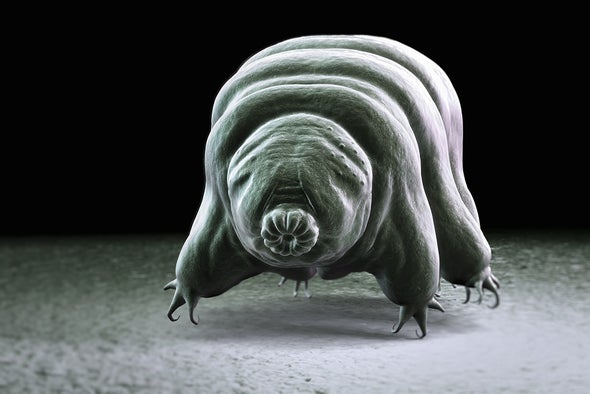 Tardigrade Protein Protects DNA from Chemical Attack