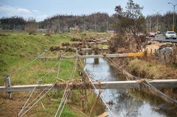 Repair or Renovate? Puerto Rico Faces Stark Power Grid Options