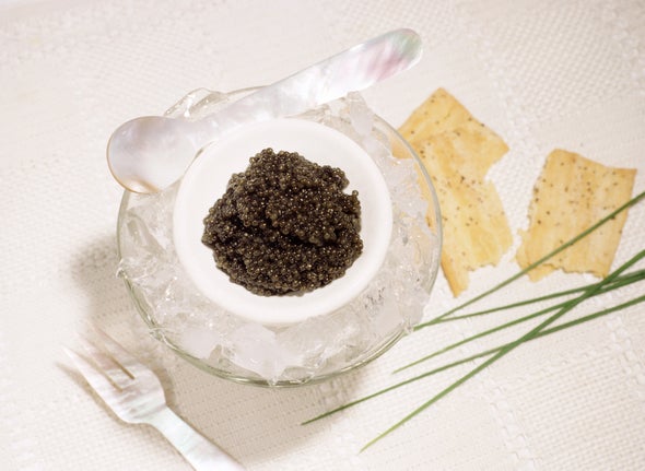 Chromosomes Combat Counterfeit Caviar