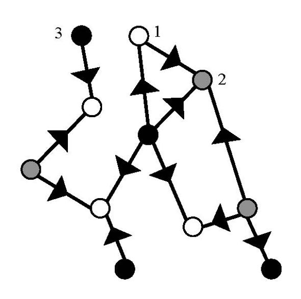 Physics Can Solve Child-Custody Arrangements