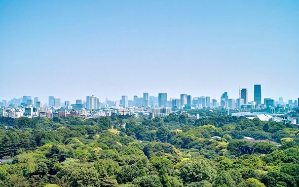 Rising CO2 Pushes Plants to Drink Sparingly