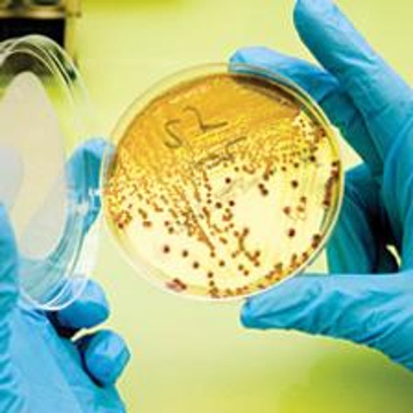 Biofuel from Bacteria