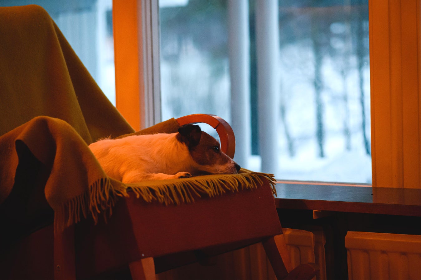 how-winter-affects-our-mood-and-behavior-scientific-american